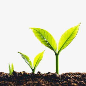 Ecología