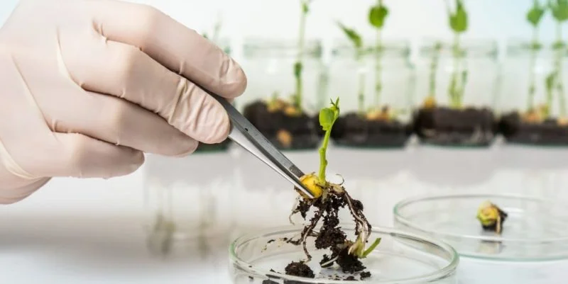 Biotecnologia para el agro Biotecnologia para el agro