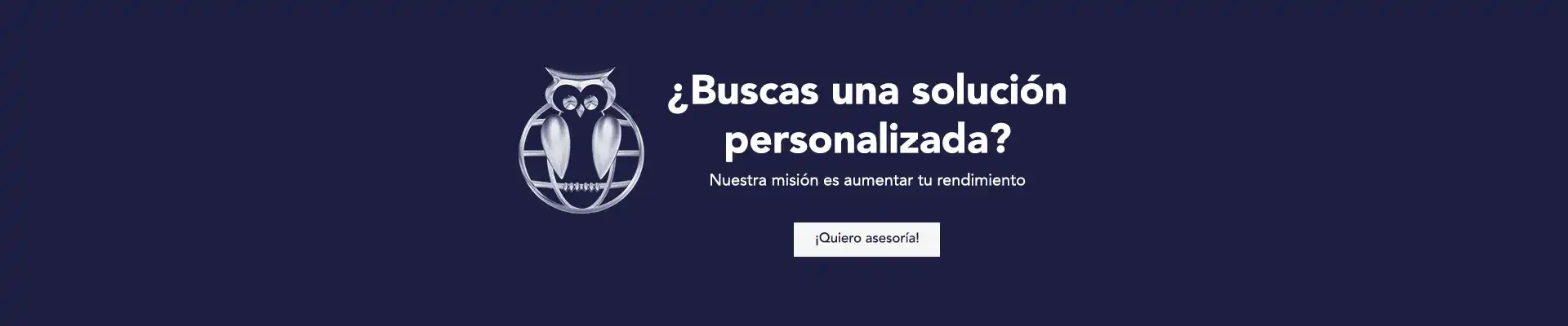 Consultoría PROFEL