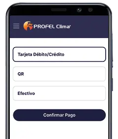 Pago en línea Pago en línea